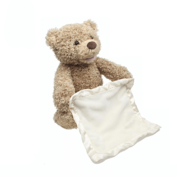 Bruno The Teddy Bear